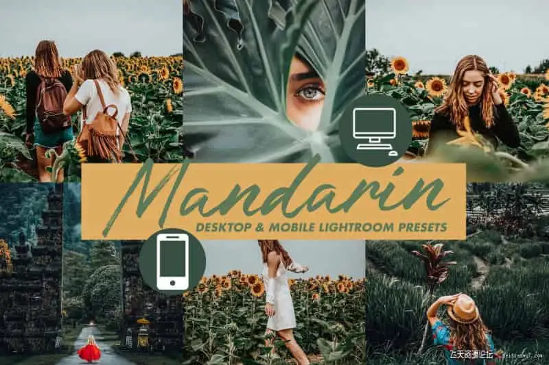 INS风森系电影胶片LR预设手机修图LR预设Mobile Lightroom Presets